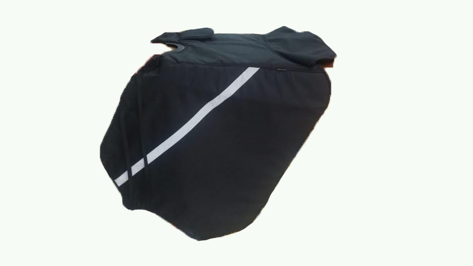 MotoSpartan Resim - 2