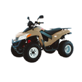SYM ATV 300