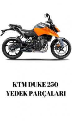 KTM Duke 250 Yedek Parça
