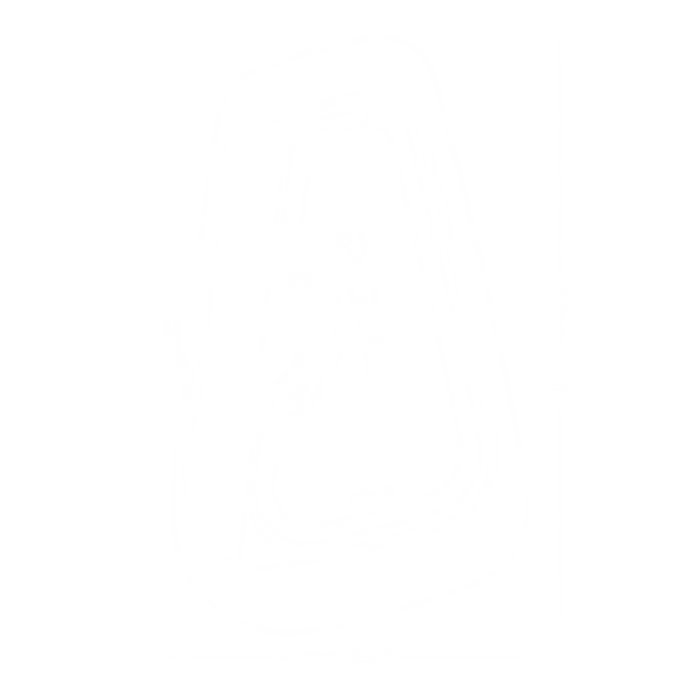 Cardo Freecom 4x Bluetooth Ve Intercom (ikili Paket)