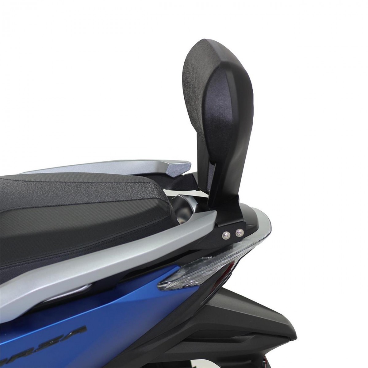 Gp Kompozit Yolcu Sırtlığı Sissy Bar Forza 250 2021-2022