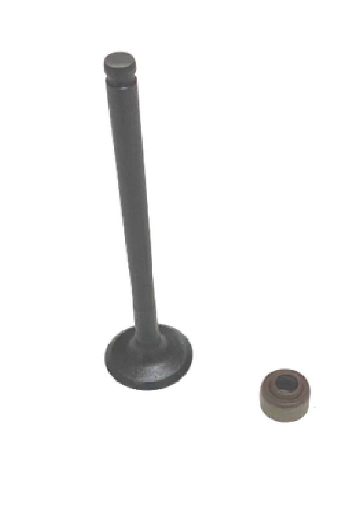 Motospartan Egzoz Sübap Ve Keçesi 2dp-wb014-00 Orj Yamaha Nmax