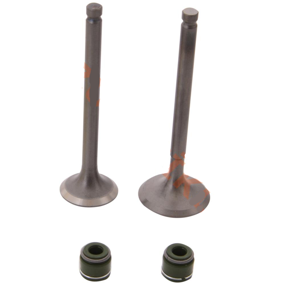 Tvs Scooty Pep Emme Egzoz Sübap Takımı Tvs Scooty Pep Emme Egzoz Sübap Takımı