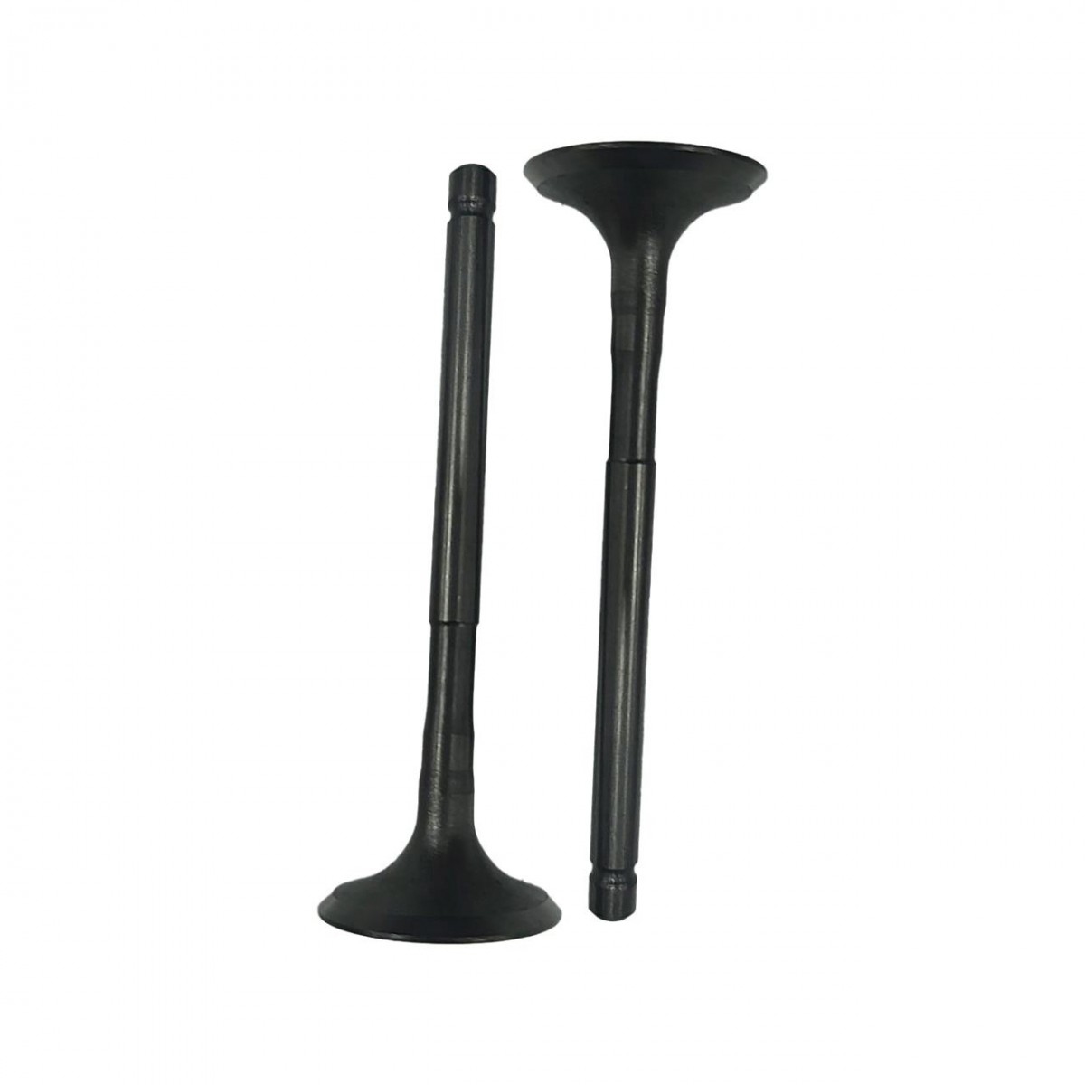 Motostar Emme Egzoz Sübap Takımı Regal Raptor 250 Motostar Emme Egzoz Sübap Takımı Regal Raptor 250