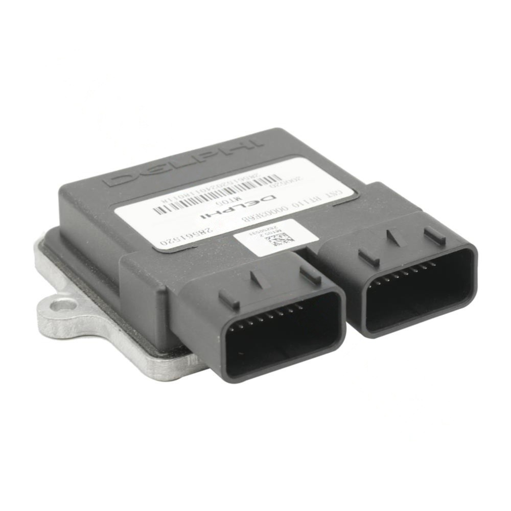 Rks Spontını 110 Cdı Beyin