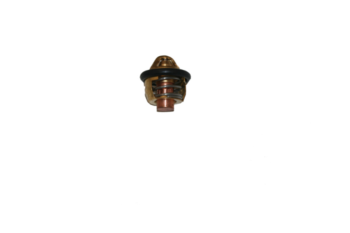 Cf Moto Termostat Orjinal Cfmoto Trl-5 Trl-6 150nk Trc-6