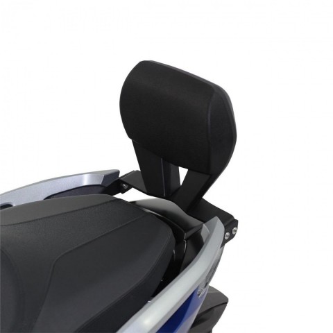 Gp Kompozit Yolcu Sırtlığı Sissy Bar Forza 250 2021-2022