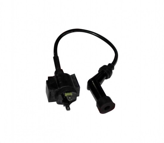 Msr Ateşleme Bobini Regal Raptor 250