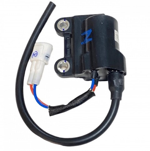 Motospartan Ateşleme Bobini Tvs Wego Oem