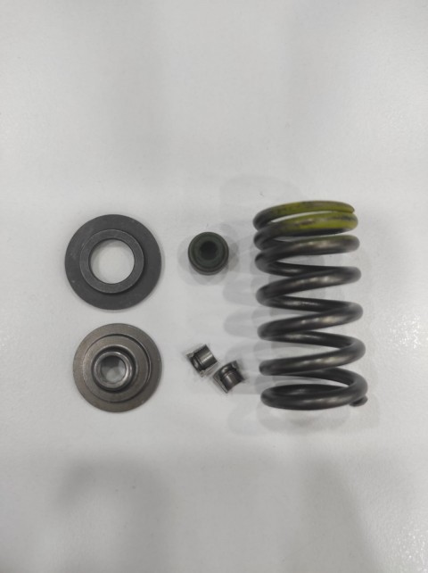Motospartan Sübap Keçe Yay Takımı Orj Bajaj Pulsar Ns 200