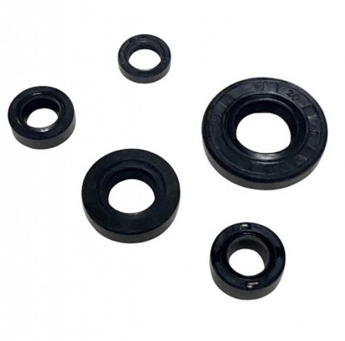 Motospartan Yağ Keçe Seti 5 Li Tvs Apache 150cc