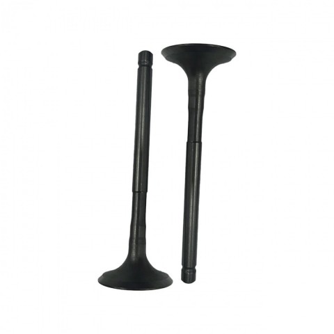 Motostar Emme Egzoz Sübap Takımı Regal Raptor 250