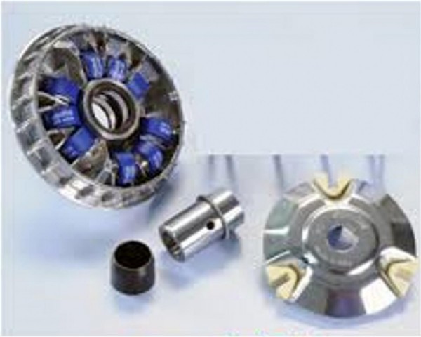 Sym Joymax Z 250 Performans Ön Varyatör Polini